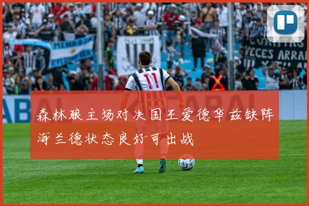 森林狼主场对决国王爱德华兹缺阵海兰德状态良好可出战